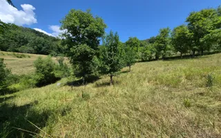Casa individuala cu teren generos – 8.356 mp – Tichindeal, jud. Sibiu - Poză 45