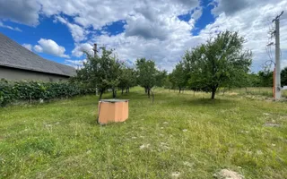 Casă 2 camere | 54 mp utili | teren 55,5 ari | Tarna Mare, Satu Mare - Poză 16
