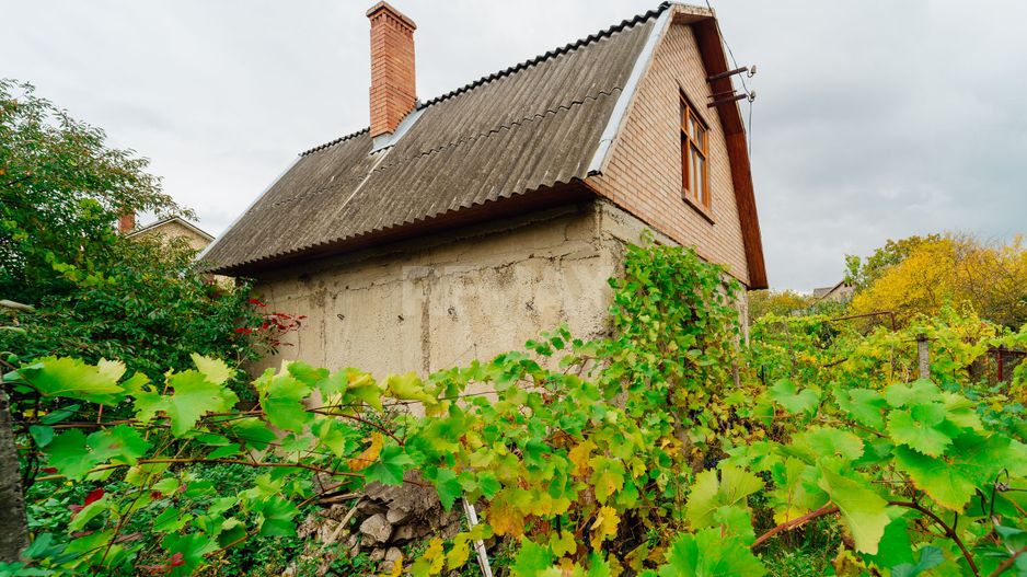 Lot pomicol de 6 ari în Ialoveni, cu construcție auxiliară. - Poză 13