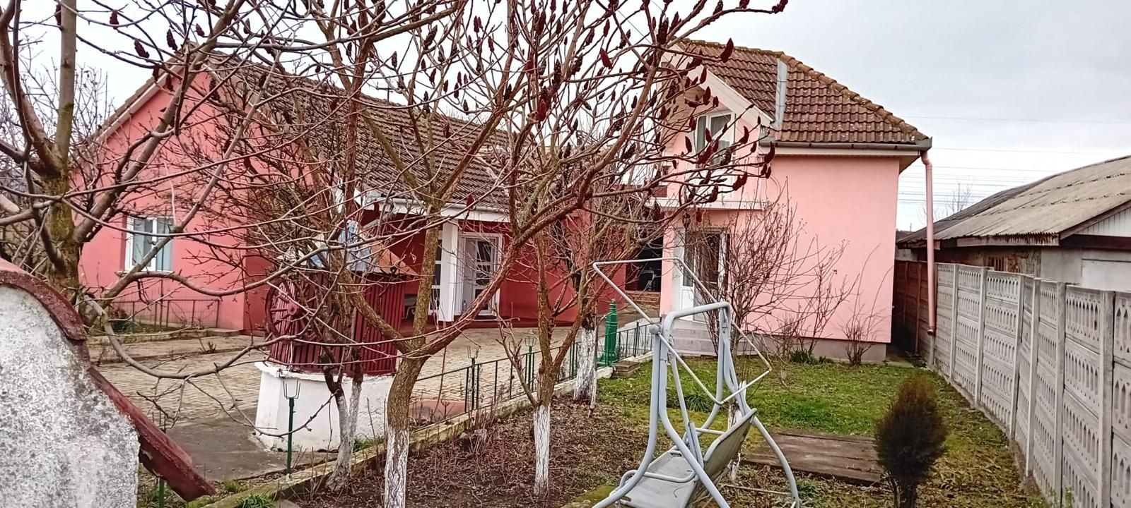 OFERTĂ in Băcia, Hunedoara ! Proprietate 2 case + Cabană + Livadă - Poză 23