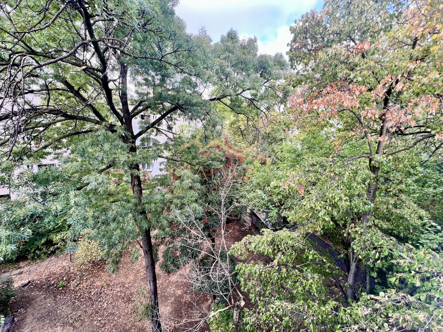 Apartament *2 camere* // FLoreasca - Compozitori - Poză 7