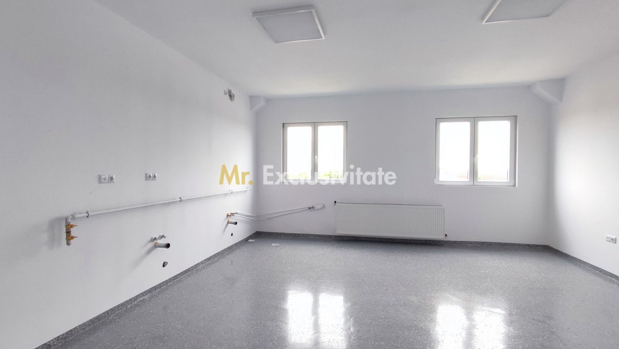 Inchiriere Spații de Birouri/Producție - Str. Uzinei - Carei - Comision 0% - Poză 9