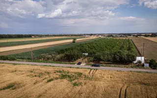 Livadă de nuci altoită și ecologică 2.5ha - Poză 11