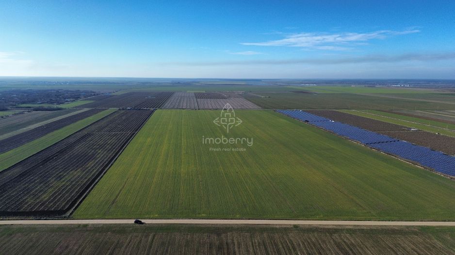 Vând teren extravilan – 11 ha, sat Valter Mărăcineanu, jud Giurgiu - Poză 1