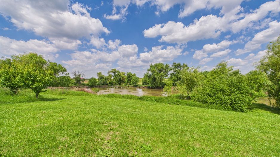 Teren cu baltă- oportunități multiple la Fibiș - Poză 5