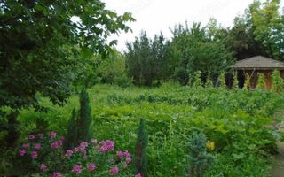 Casa de vanzare |Nuci, Balta Neagra, la 25 de minute de București - Poză 9