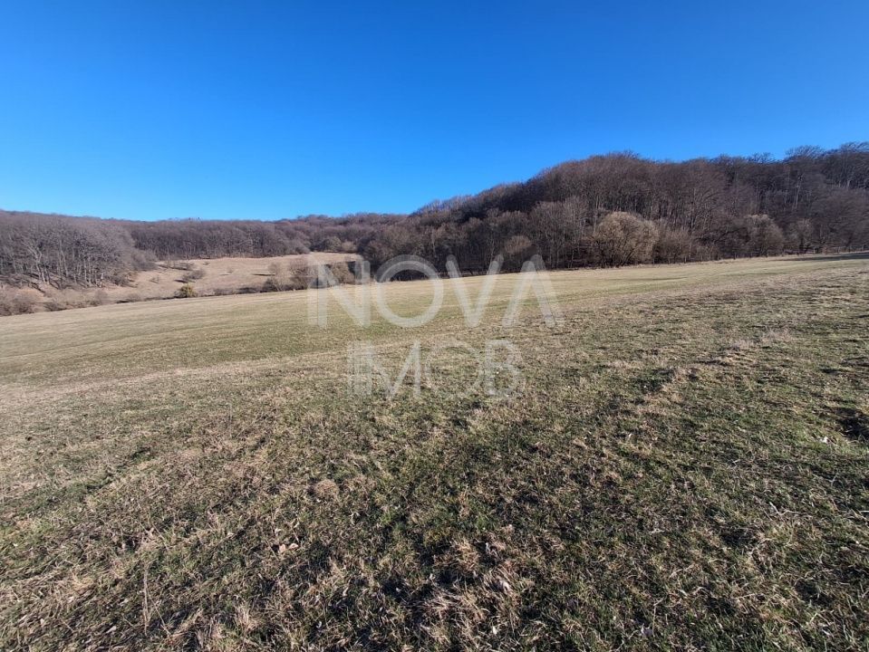 Ferma complet echipata de vanzare – zona Agnita, judetul Sibiu - Poză 3