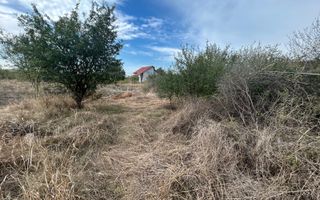 COMISION 0 | Teren intravilan | 945mp | Sacalaz Vest - Poză 8