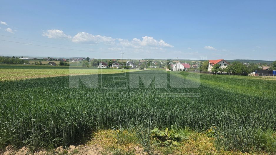 TEREN EXTRAVILAN | MITOCU DRAGOMIRNEI | 2.600 Mp - Poză 8