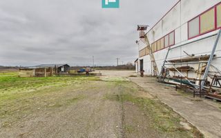 Hală de producție, cu birouri și teren, în Sebiș - Poză 60