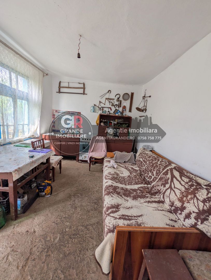 De vânzare casă în Somova, curte 1600 mp - Poză 4