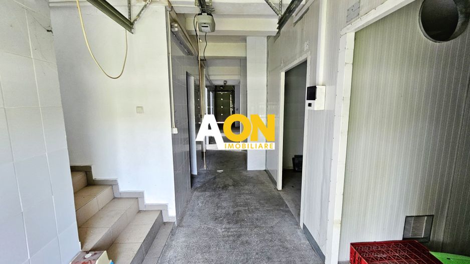 Clădire cu destinație de carmangerie în Ighiu - Potențial investitie! - Poză 4