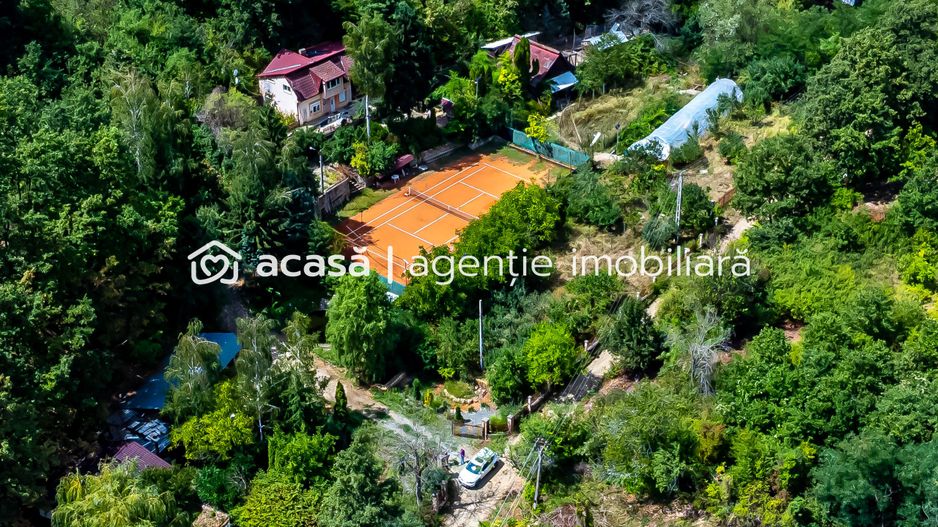 PROPRIETATE VÂNDUTĂ Casă conac cu 15.000 mp deal împădurit la Barațca, - Poză 9