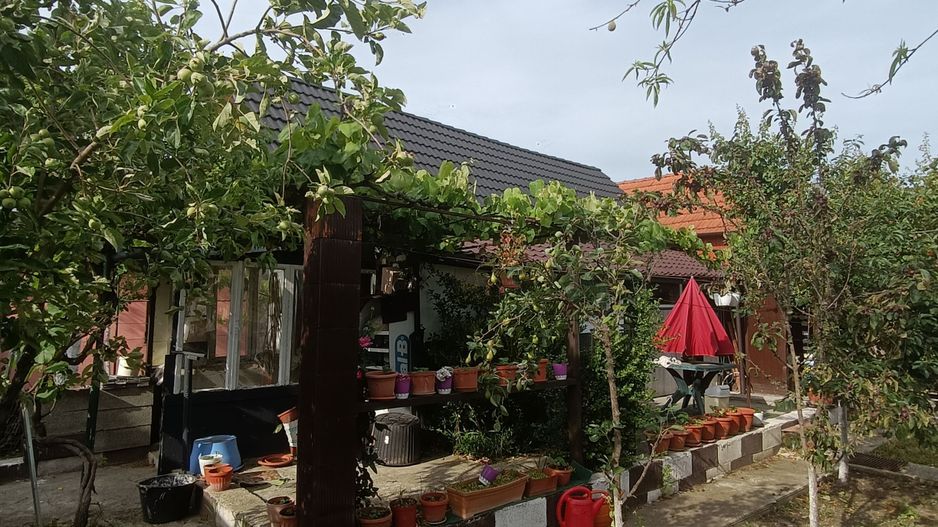 Casă de vanzare cu 4 camere 107 mpu pivnita anexe curte gradina Sebes - Poză 14