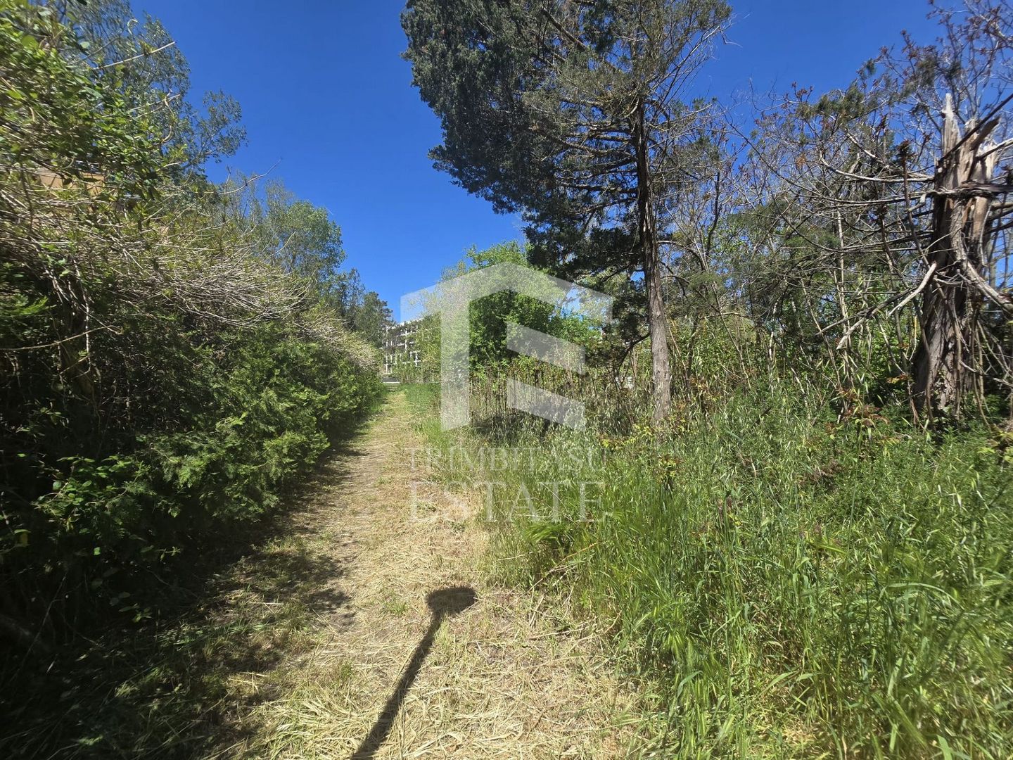 🏖 Teren de vanzare in Neptun – O oportunitate rara de investitie. - Poză 20