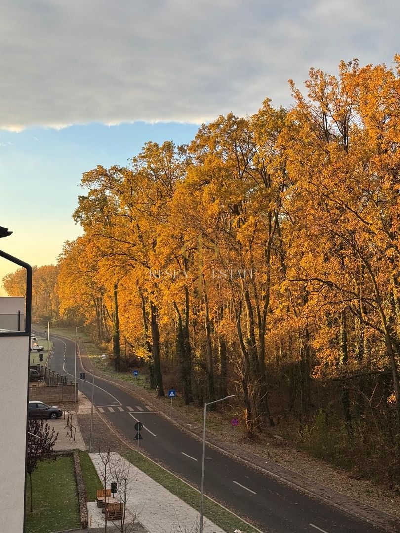 Apartament cu 2 camere - vedere la pădure| Ghiroda - Poză 9