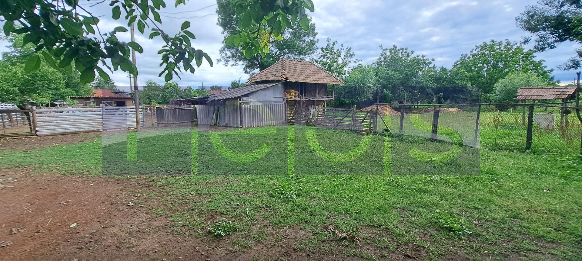VANZARE CASA | TEREN 2.500 MP | LIVADA SI GRADINA | COMUNA BEUCA, TELEORMAN - Poză 8