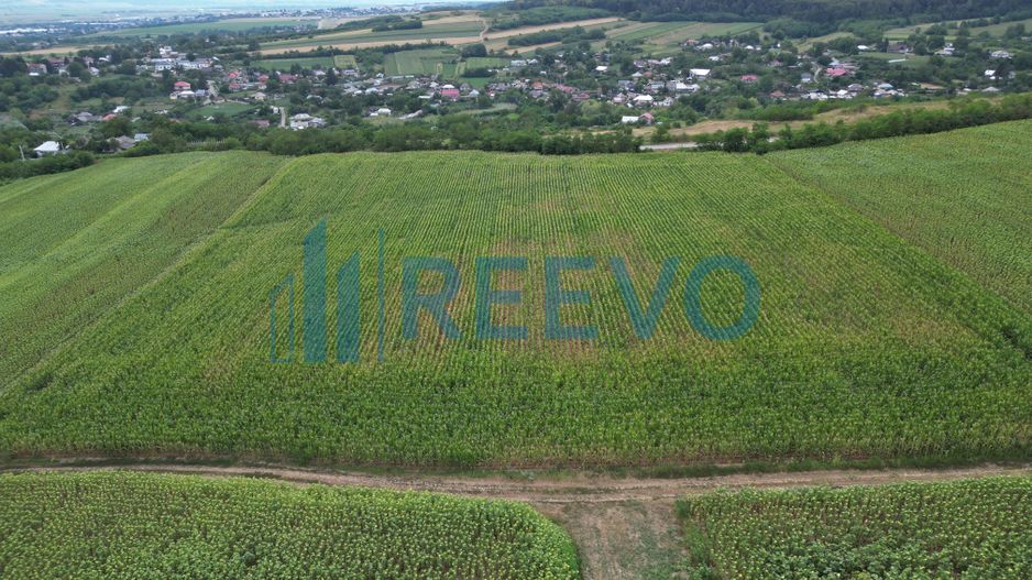 Teren de 3.600 mp Racova - Poză 4