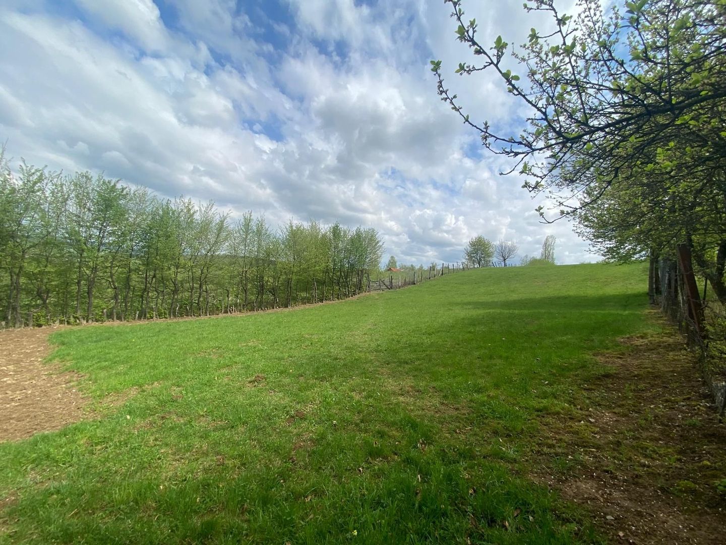 Parcele de teren intravilan cu un view superb-Tocile-Sibiu - Poză 4