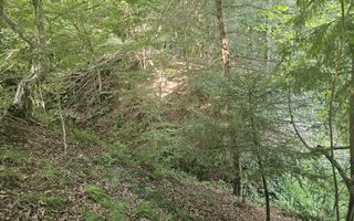 Teren extravilan  cu potential turistic - Brezoi - Poză 3