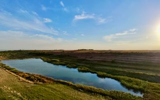 Teren Daia 75000 mp cu balta 30000 mp izvoare - Poză 6