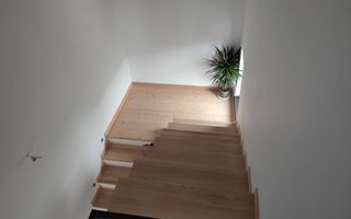 Sanandrei, Spurafete generoase, drum asflatat - Poză 12