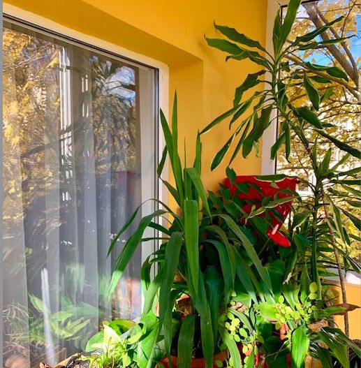 APARTAMENT RENOVAT 3 CAMERE BUCOVINA - Poză 5