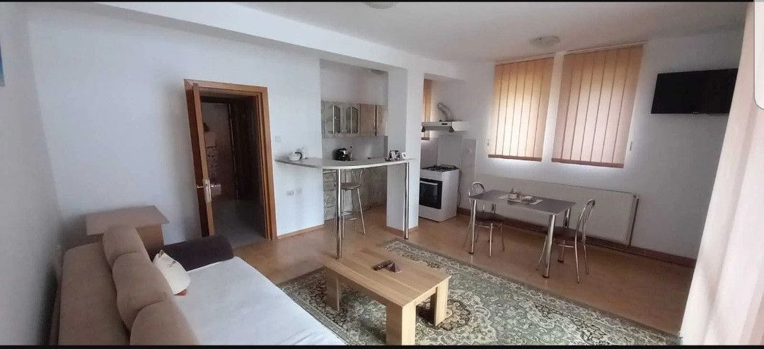 Vanzare apartament in vila, 2 camere Banatului - Poză 2