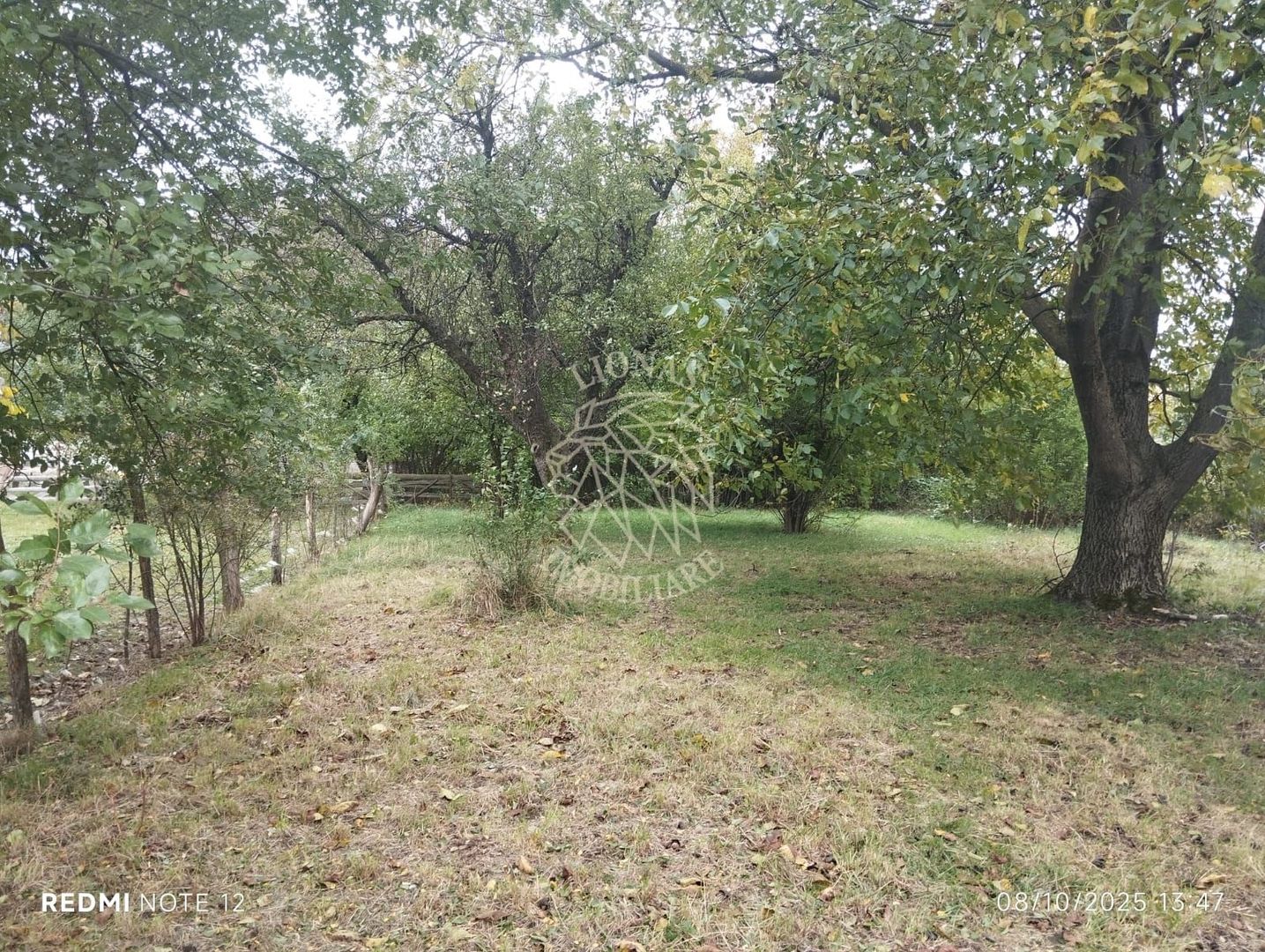 Teren intravilan 2500 mp-utilitati-ideal casa-Mijlocenii Bargaului - Poză 5