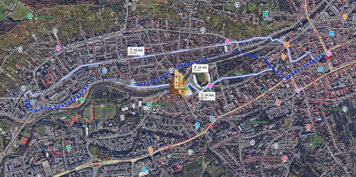 | Apartament cu 3 camere de vanzare | Cartierul Grigorescu | Etaj 2| Decomantat| - Poză 9