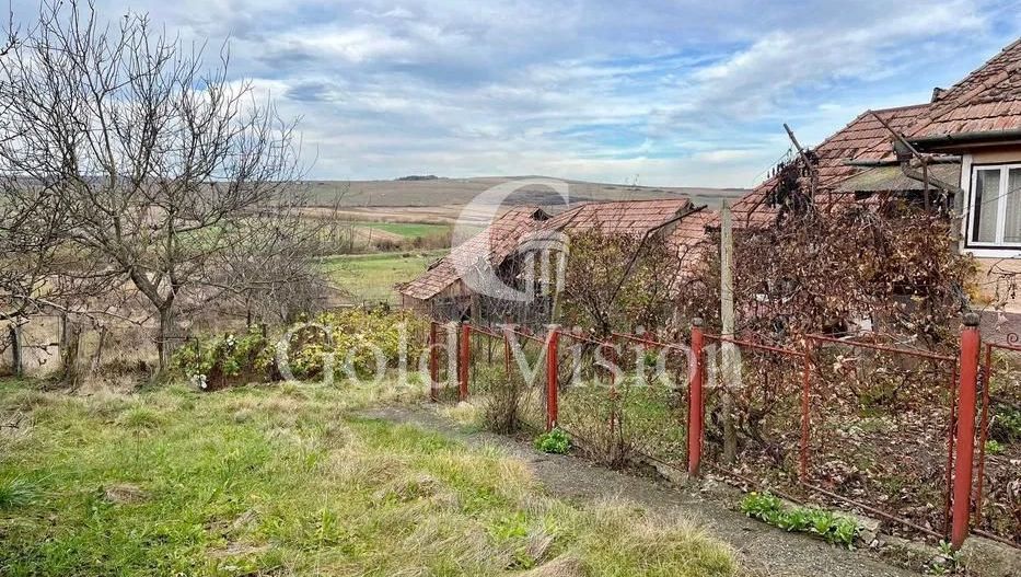 Vand casa cu teren suprafata mare, in Dedrad, Reghin MS - Poză 4