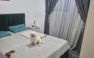 Apartament premium 2 camere | Parter | Parcare inclusă | Berceni - Poză 2