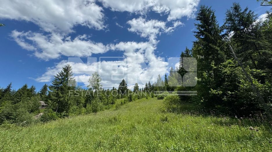 TEREN EXTRAVILAN DE VANZARE | CAMPULUNG MOLDOVENESC | 258.720€ - Poză 5