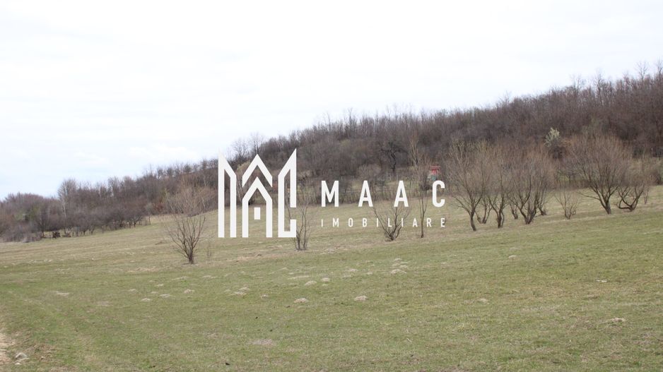 Pământ I Fereastră către Eternitate în  Transilvania - Poză 10