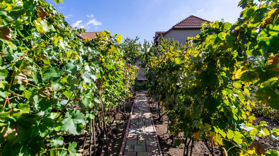 Vânzare, casă, 5 camere, str. Gura Văii, sect. Riscani - Poză 36