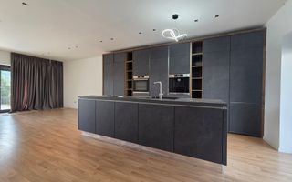 Vilă duplex | 5 camere | 2 parcari | Pipera - Matei Millo - Poză 5
