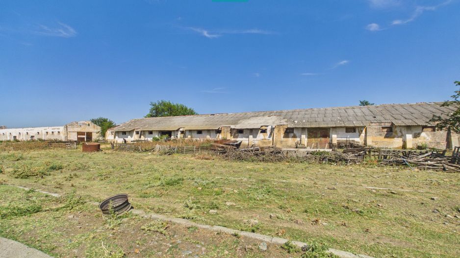 Teren intravilan 146.866 mp de vânzare | Jimbolia - Poză 10
