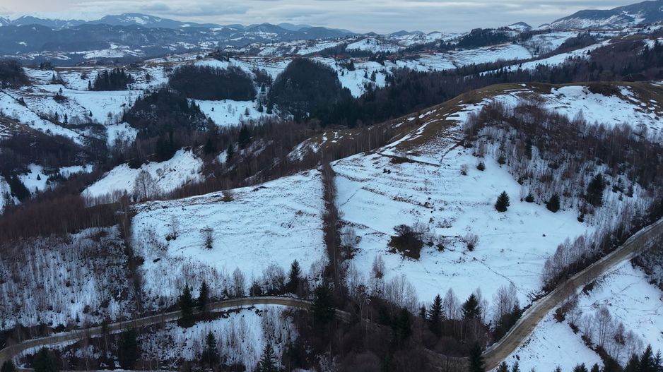 Teren de vânzare – Peștera Măgura Moeciu - Poză 1