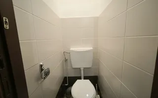 Spatiu Comercial Micalaca, Malul Muresului, zona 300 vizavi UAV - Poză 12