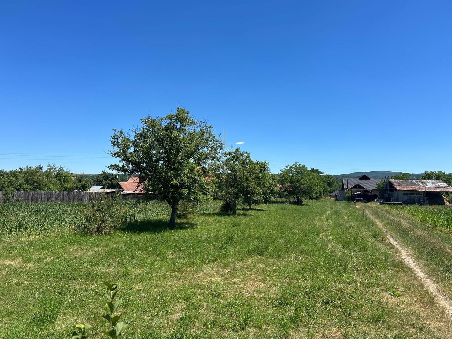 Teren intravilan de vânzare – Cașin, județul Bacău - Poză 3