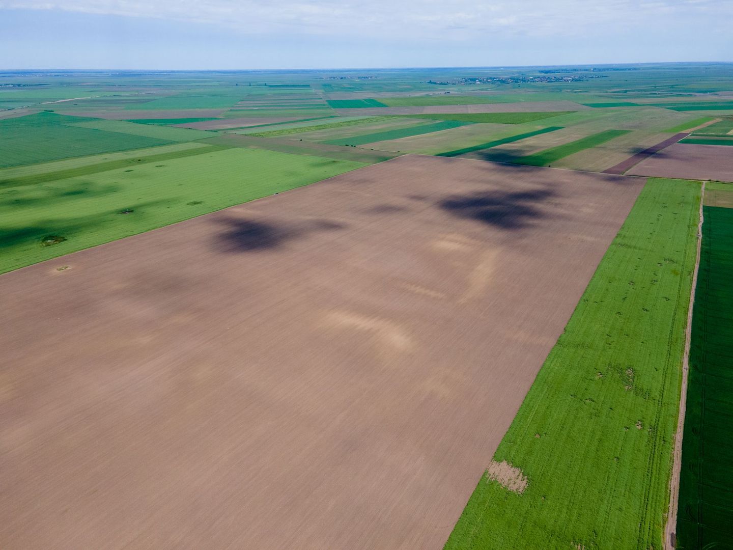 Teren de 5Ha în Satchinez. - Poză 6