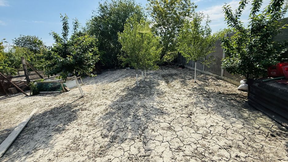 Ciarda Roșie / Buziașului | Front 27 ml | Teren 1464 mp | Utilități - Poză 4