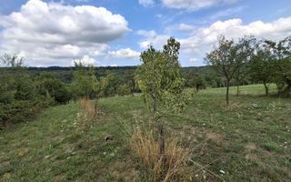 De vânzare teren extravilan în Sibiel, jud. Sibiu – 3223 mp - Poză 6