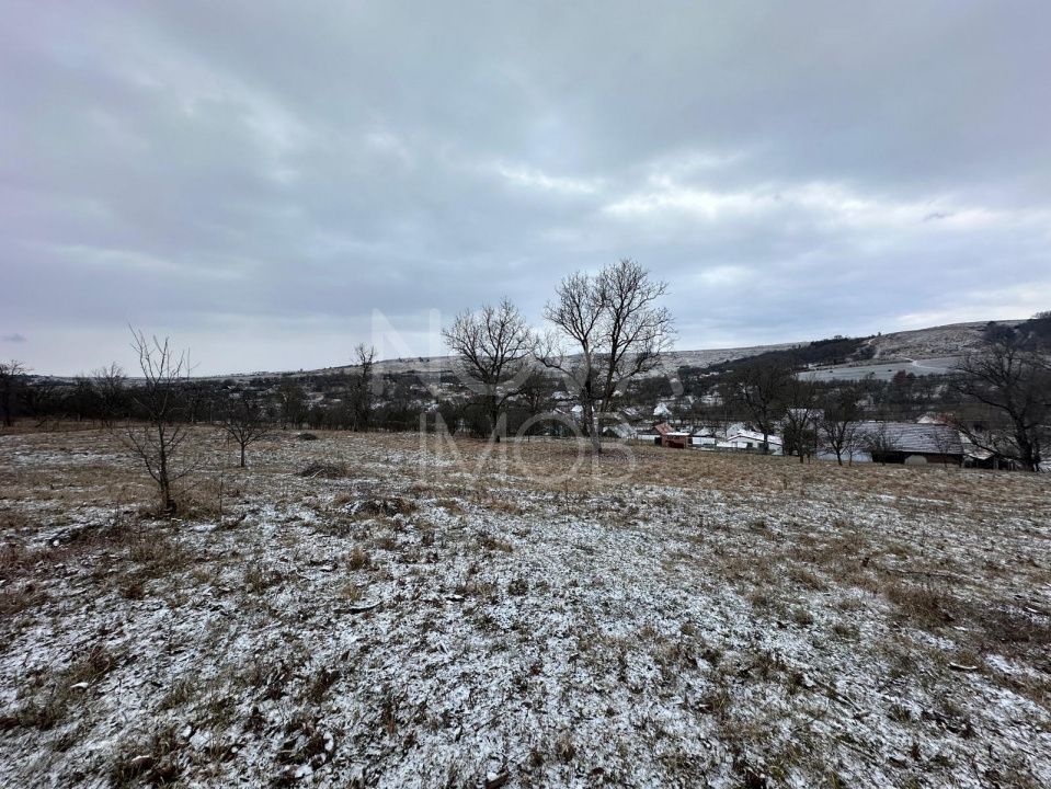 Casa individuala cu teren generos – 8.356 mp – Tichindeal, jud. Sibiu - Poză 8