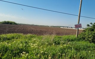 Teren 10.000 mp Clinceni – Deschidere la drum principal | Zonă mixtă - Poză 4