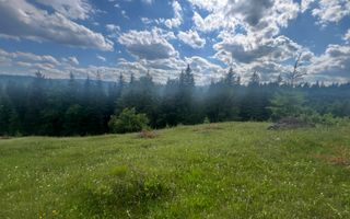 Teren Intravilan | Brodina de Jos | 16900 MP - Poză 4