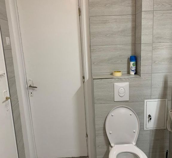 3 camere | Calea Victoriei | 4 balcoane | centrala - Poză 18
