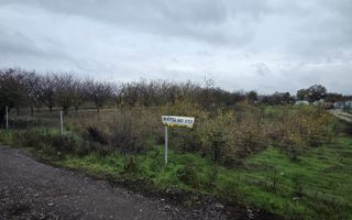 Teren Aleea Viilor Adunatii Copaceni - Poză 4