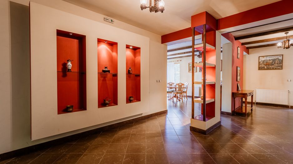 Domeniu în satul Căprioara - Poză 43