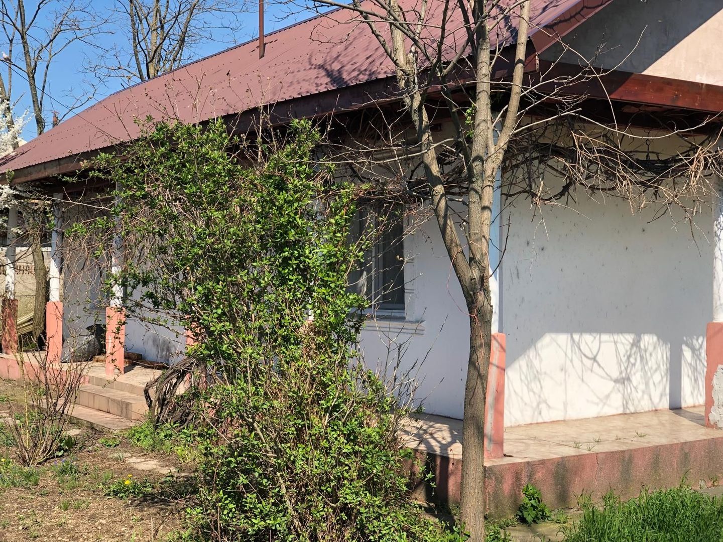 Casa 3 camere Parter Giurgiu Com Bucsani - Poză 4